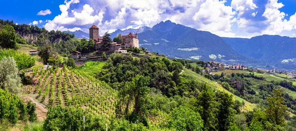 意大利中世纪城堡 美拉诺宏伟的Tirolo城堡 环绕着阿尔卑斯山和葡萄园 意大利博尔扎诺省 — 图库照片