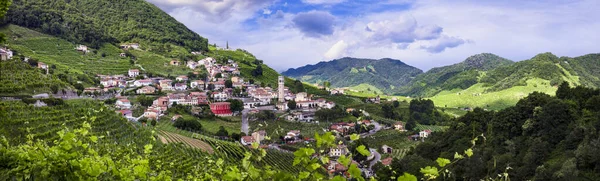 イタリアのトレヴィーゾで有名なワイン産地 有名なプロセッコワインルートのバルドビアディーン丘とブドウ畑 — ストック写真