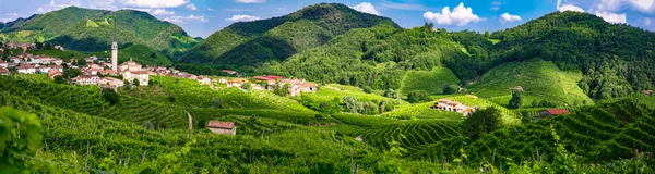Famous Wine Region Treviso Italy Valdobbiadene Hills Vineyards Famous Prosecco — Stock Photo, Image