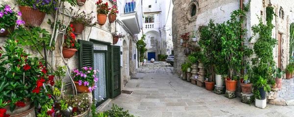 Güney Talya Nın Puglia Bölgesindeki Geleneksel Büyüleyici Kasabaları Çiçekli Dar — Stok fotoğraf