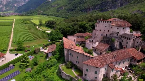 ブドウ畑に囲まれたキャッスルピエトラ 空中ドローンビデオ トレント県 トレンティーノ地域のイタリアの魅力的な中世の城 — ストック動画