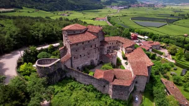 ブドウ畑に囲まれたキャッスルピエトラ 空中ドローンビデオ トレント県 トレンティーノ地域のイタリアの魅力的な中世の城 — ストック動画