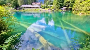 İnanılmaz İsviçre dağ gölleri. Temiz suyla muhteşem peri masalı Blausee gölü. Kandersteg köyü yakınlarında. İsviçre gezisi ve manzarası