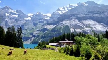 Idyllic İsviçre 'nin Oeschinensee Dağı (Oeschinen), Kandersteg köyü yakınlarındaki Alp dağlarının turkuaz suyu ve karlı zirveleriyle. İsviçre doğası ve seyahat