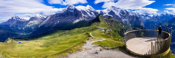 スイスの自然景色 風光明媚な雪のアルプス山々と野生の花の牧草地 自然の中の美しさ スイスの風景 マンネック山と有名なハイキングルートロイヤルロードの景色 — ストック写真
