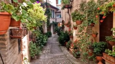 İtalya 'nın geleneksel eski köyleri, Umbria - Spello kasabası. Çiçekli cadde süslemeleri