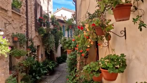 Traditionelle Alte Dörfer Italiens Umbrien Stadt Spello Charmante Blumenschmuck Straßen — Stockvideo