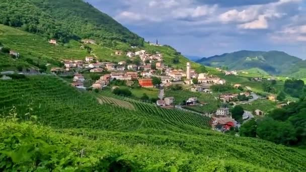 Famosa Regione Vinicola Treviso Italia Colline Vigneti Valdobbiadene Sulla Famosa — Video Stock