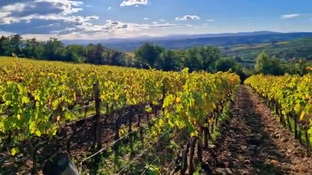 Italië Schilderachtig Toscaans Platteland Gouden Herfst Wijngaarden Velden Chianti Regio — Stockvideo