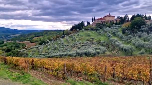 Italia Paisaje Campiña Toscana Campos Viñedos Otoño Oro Región Chianti — Vídeo de stock