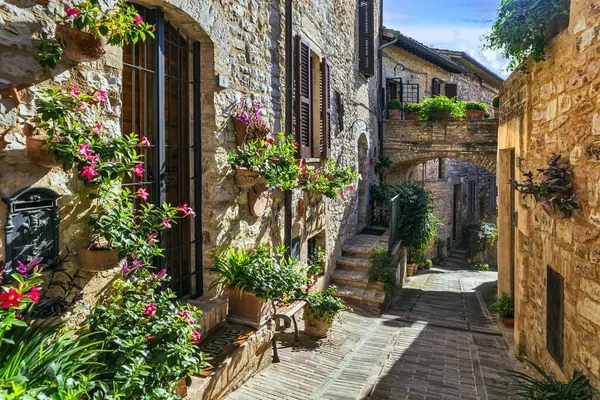 Talya Nın Geleneksel Eski Köyleri Umbria Güzel Spello Kasabası Çiçekli — Stok fotoğraf