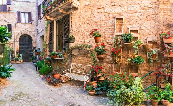 Talya Nın Geleneksel Eski Köyleri Umbria Güzel Spello Kasabası Çiçekli — Stok fotoğraf
