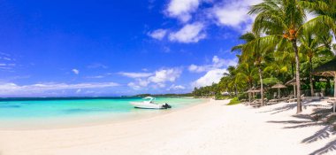 En iyi tropik bölge. Egzotik tropik plaj manzarası. Mauritius Adası