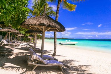 En iyi tropik bölge. Tropik plaj manzarası. Mauritius Adası