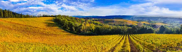 Italy Scenery Golden Autumn Traditional Countryside Landscapes Beautiful Tuscany Vineyards — Stock Photo, Image