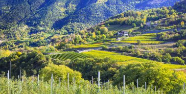 İtalya 'nın kuzeyindeki Valle d' Aosta 'nın güzel manzarası. Alp dağları, kalelerden ve üzüm bağlarından oluşan manzaralı bir vadi 