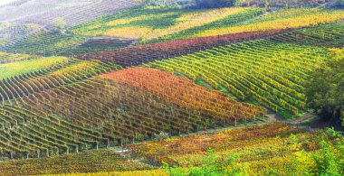 İtalya, Treviso 'daki ünlü şarap bölgesi. Meşhur Prosecco şarap rotasındaki Valdobbiadene tepeleri ve üzüm bağları, renkli üzüm şarabı tarlalarıyla sonbahar manzarası