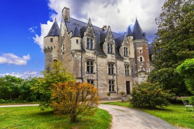 Montresor Şatosu, Loire Vadisi 'nin güzel romantik kaleleri. Fransa 'nın ünlü ortaçağ kaleleri ve miras alanları