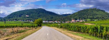Fransa 'nın Alsace bölgesi - ünlü 