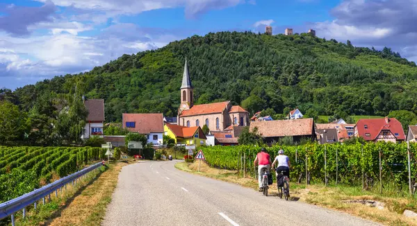Fransa 'nın Alsace bölgesi - ünlü 