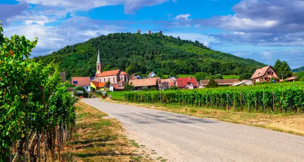 Fransa 'nın Alsace bölgesi - ünlü 