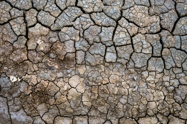 Сухая Поверхность Почвы Глубокими Трещинами Текстурированного Фона Сухая Потрескавшаяся Почва — стоковое фото