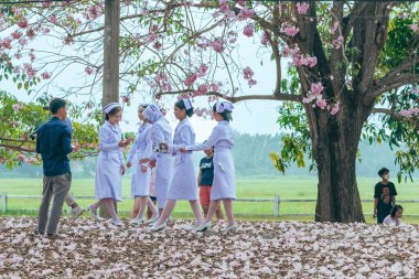 NAKHON PATHOM -THAILAND, 15 Mart 2023: Kimliği belirsiz turistler, Chompu Pantip Yolu 'ndaki pembe yol gibi çiçek açan ve yere düşen güzel pembe trompet ağacıyla fotoğraf çekmeye geliyorlar..