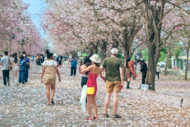 NAKHON PATHOM -THAILAND, 15 Mart 2023: Kimliği belirsiz turistler, Chompu Pantip Yolu 'ndaki pembe yol gibi çiçek açan ve yere düşen güzel pembe trompet ağacıyla fotoğraf çekmeye geliyorlar..
