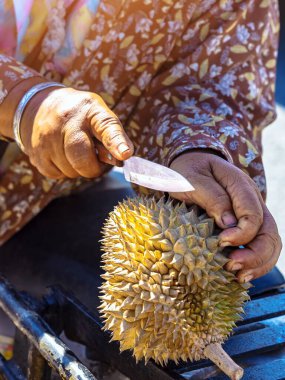Yaşlı Taylandlı kadın satıcı yol kenarındaki turistlere durian, meyve ve sebze satarak motosiklet sürüyor. Sokak tüccarı taze Durian eti kesip satmış. Durian ticareti. Seçici odak.