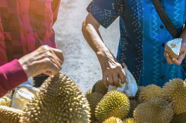 Yaşlı Taylandlı kadın satıcı yol kenarındaki turistlere durian, meyve ve sebze satarak motosiklet sürüyor. Sokak tüccarı taze Durian eti kesip satmış. Durian ticareti. Seçici odak.