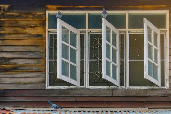 Holubi Starém Dřevěném Okně Bývalého Dřevěného Domu Stock Obrázky