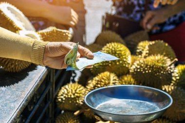 Yaşlı Taylandlı kadın satıcı yol kenarındaki turistlere durian, meyve ve sebze satarak motosiklet sürüyor. Sokak tüccarı taze Durian eti kesip satmış. Durian ticareti. Seçici odak.