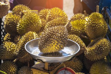 Yaşlı Taylandlı kadın satıcı yol kenarındaki turistlere durian, meyve ve sebze satarak motosiklet sürüyor. Sokak tüccarı taze Durian eti kesip satmış. Durian ticareti. Seçici odak.