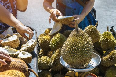 Yaşlı Taylandlı kadın satıcı yol kenarındaki turistlere durian, meyve ve sebze satarak motosiklet sürüyor. Sokak tüccarı taze Durian eti kesip satmış. Durian ticareti. Seçici odak.