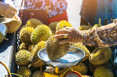Yaşlı Taylandlı kadın satıcı yol kenarındaki turistlere durian, meyve ve sebze satarak motosiklet sürüyor. Sokak tüccarı taze Durian eti kesip satmış. Durian ticareti. Seçici odak.