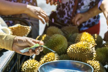 Yaşlı Taylandlı kadın satıcı yol kenarındaki turistlere durian, meyve ve sebze satarak motosiklet sürüyor. Sokak tüccarı taze Durian eti kesip satmış. Durian ticareti. Seçici odak.