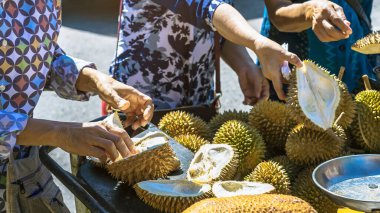Yaşlı Taylandlı kadın satıcı yol kenarındaki turistlere durian, meyve ve sebze satarak motosiklet sürüyor. Sokak tüccarı taze Durian eti kesip satmış. Durian ticareti. Seçici odak.