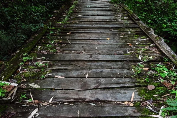 森林里的一座古老的木桥 木板桥的地景 摄影由河流上方的木桥组成 用于自然野生公园 木板桥上覆盖着树叶 自然背景 — 图库照片