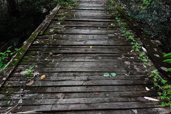 Ormandaki eski ahşap köprü. Tahta kalaslarla köprü manzarası. Doğal vahşi park için nehrin yukarısındaki tahta köprüden oluşan bir fotoğraf. Yapraklarla kaplı Planks Köprüsü. Doğal arkaplan.