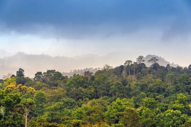 Beautiful view of cloudy and overcast with rain on top of  mountains covered with fresh green trees. Scene of tropical rainforest covered by trees and bushes with background of hazy mountain range. clipart