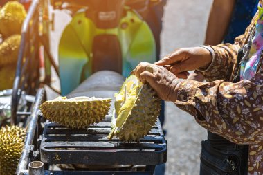 Yaşlı Taylandlı kadın satıcı yol kenarındaki turistlere durian, meyve ve sebze satarak motosiklet sürüyor. Sokak tüccarı taze Durian eti kesip satmış. Durian ticareti. Seçici odak.