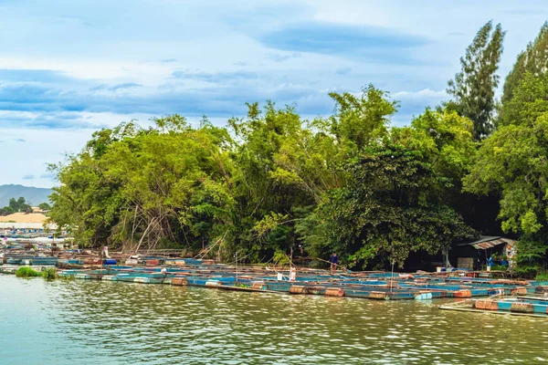 Kanchanaburi Thailand 2019 Krásný Výhled Krajinu Nilu Red Tilapia Rybí — Stock fotografie