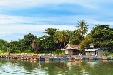 KANCHANABURI-THAILAND, AĞUSTOS 30. 2019: Mae Klong nehrindeki kullanılmış plastik varillerden gelen şamandıralarla yüzen Nil Red Tilapia balık kafeslerinin güzel manzarası. Su ürünleri balık yetiştiriciliği.