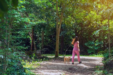Genç ve güzel bir kadının, evcil köpeğiyle birlikte, sağlıklı, aktif bir yaşam tarzı konseptiyle bir orman yolunda gezintiye çıkışı. Genç kadın ve kahverengi köpek ormanda kır yolunda birlikte yürüyorlar..