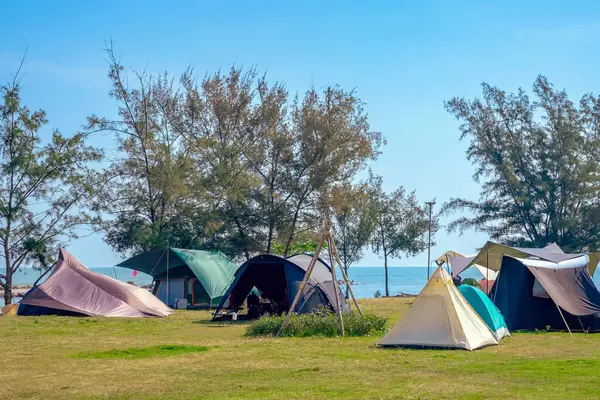 Camping tent and activity on field near the beach. Tent camping area for tourists on lawn near the beach. Holiday outdoor activities with travel and camping at seaside. Happiness outdoor recreation.