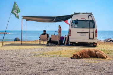 PHETCHABURI-THAILAND, 31 Aralık 2022: Kahverengi bir köpek Chao Samran Sahili 'nin arka planında bulanık turist kamp minibüsü ve deniz görüntüsüyle kumlu sahilde kestiriyor. Mutluluk açık hava eğlencesi