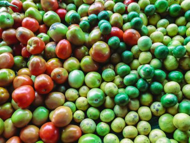 Markette satılmak üzere toplanan yeşil ve sarı limonlu çeşitli taze kırmızı ve sarı renkli organik domateslerin görüntüsü. Ürün canlı renktedir. Satılık taze meyve ve sebzeler..