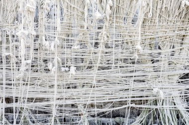 Kutsal iplik arkaplanı deseni. Birçok beyaz püskül, dua etmek ve Tayland kültürünü ve dinini onurlandırmak için kutsal ipliklerden yapılmıştır. Tarafsız arkaplanda beyaz iplik lekesi. Pamuk çizgisi dokusu.