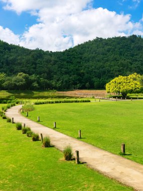Arka planda dağların olduğu sakin ve güzel bir doğanın ortasındaki yemyeşil otlakların arasından geçen bir yol. Yeşil çimlerle, yemyeşil ağaçlarla, dağlarla ve gökyüzüyle doğanın güzel manzarası. Yeşil Peyzaj.