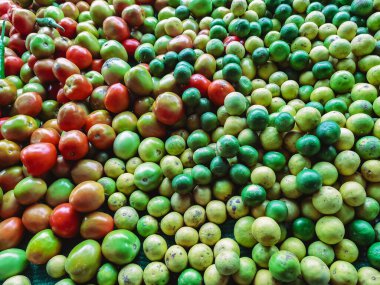 Markette satılmak üzere toplanan yeşil ve sarı limonlu çeşitli taze kırmızı ve sarı renkli organik domateslerin görüntüsü. Ürün canlı renktedir. Satılık taze meyve ve sebzeler..